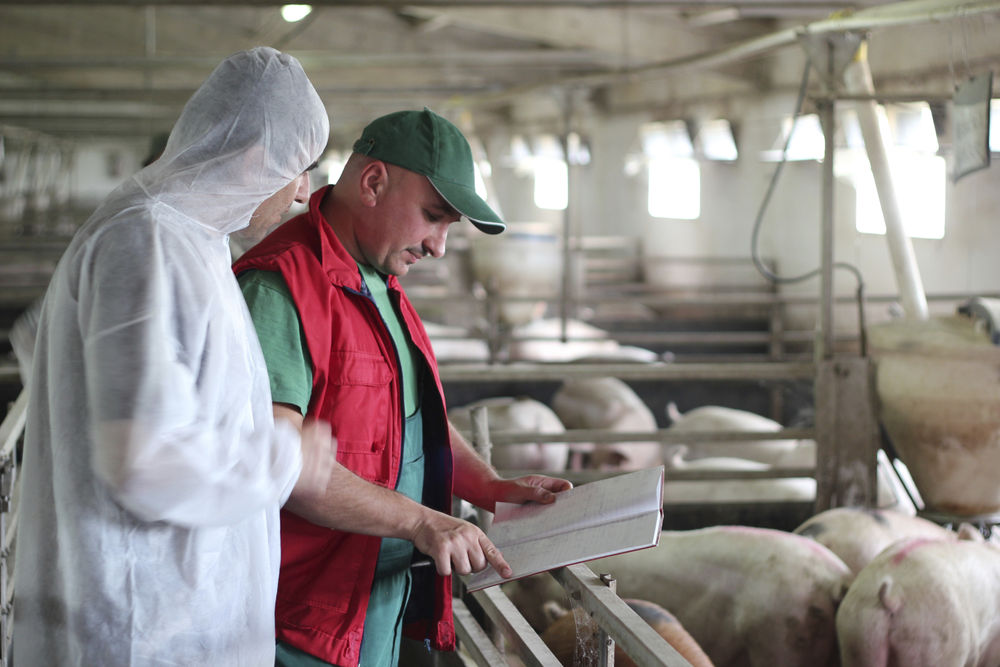 Climate control at a swine or hog farm