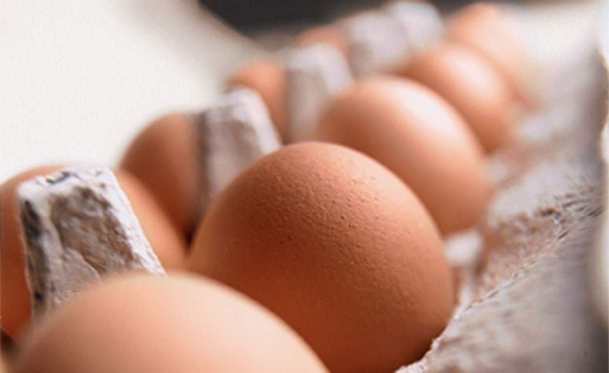 Eggs in carton box