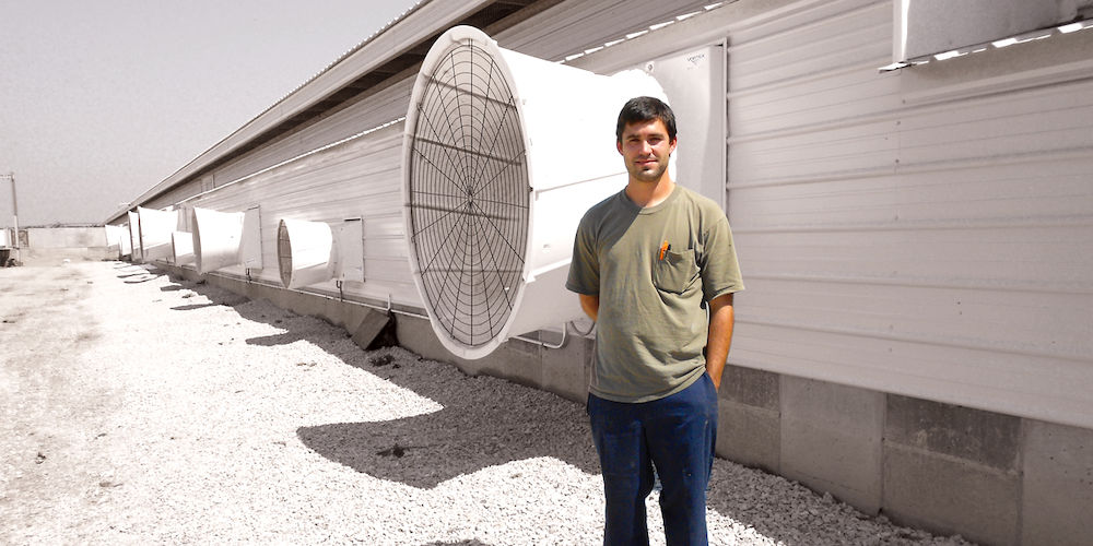 Fan wall at a hog facility