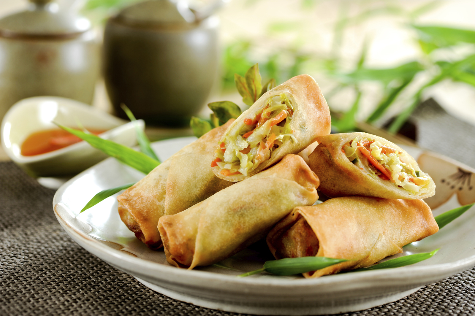 AT_Case_iStock_000017120008XLarge_Spring Rolls.jpg